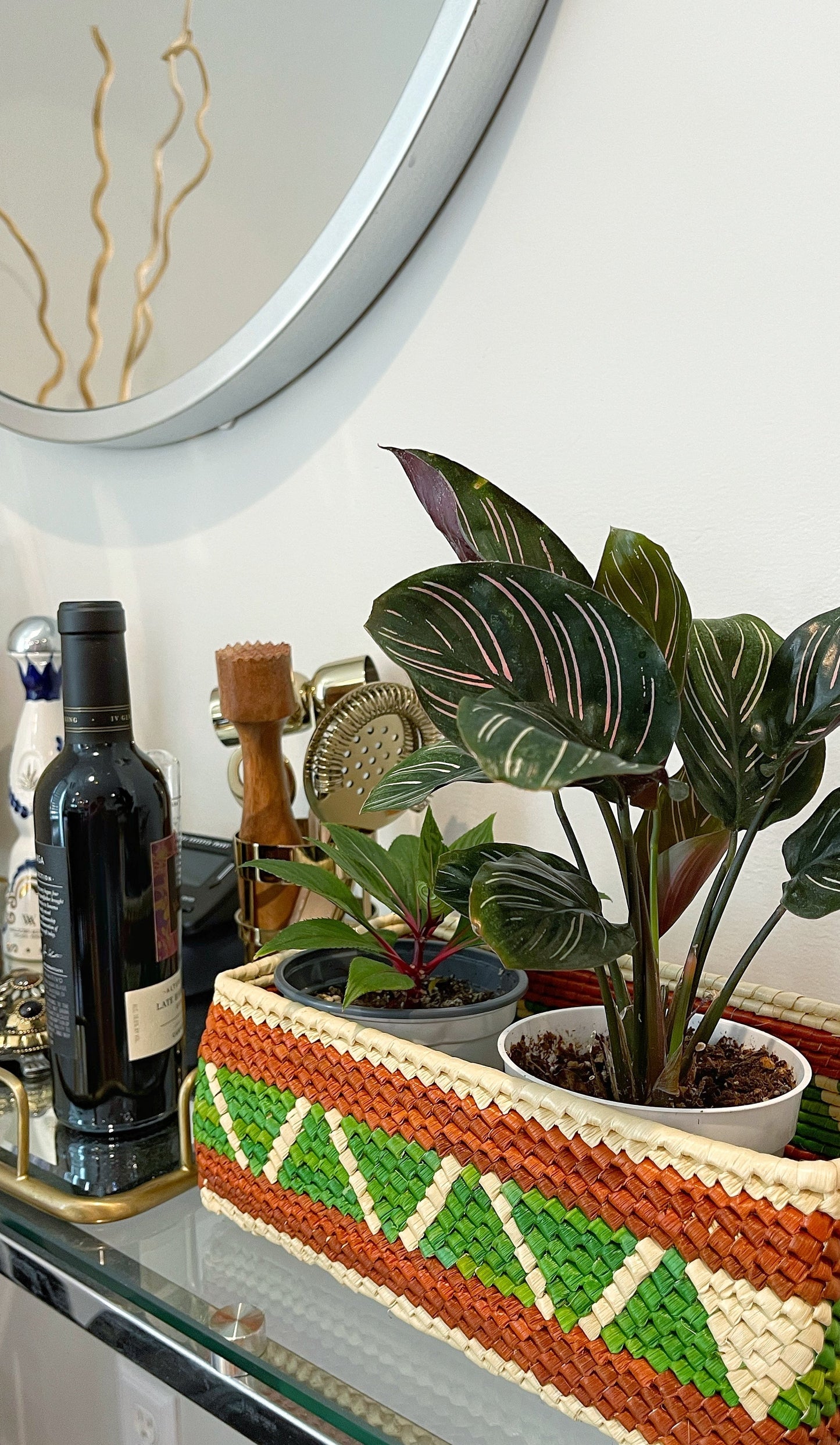 Colorful handwoven tucuma box, with a vibrant pattern of orange, green, and natural hues, displayed elegantly among houseplants and bar accessories