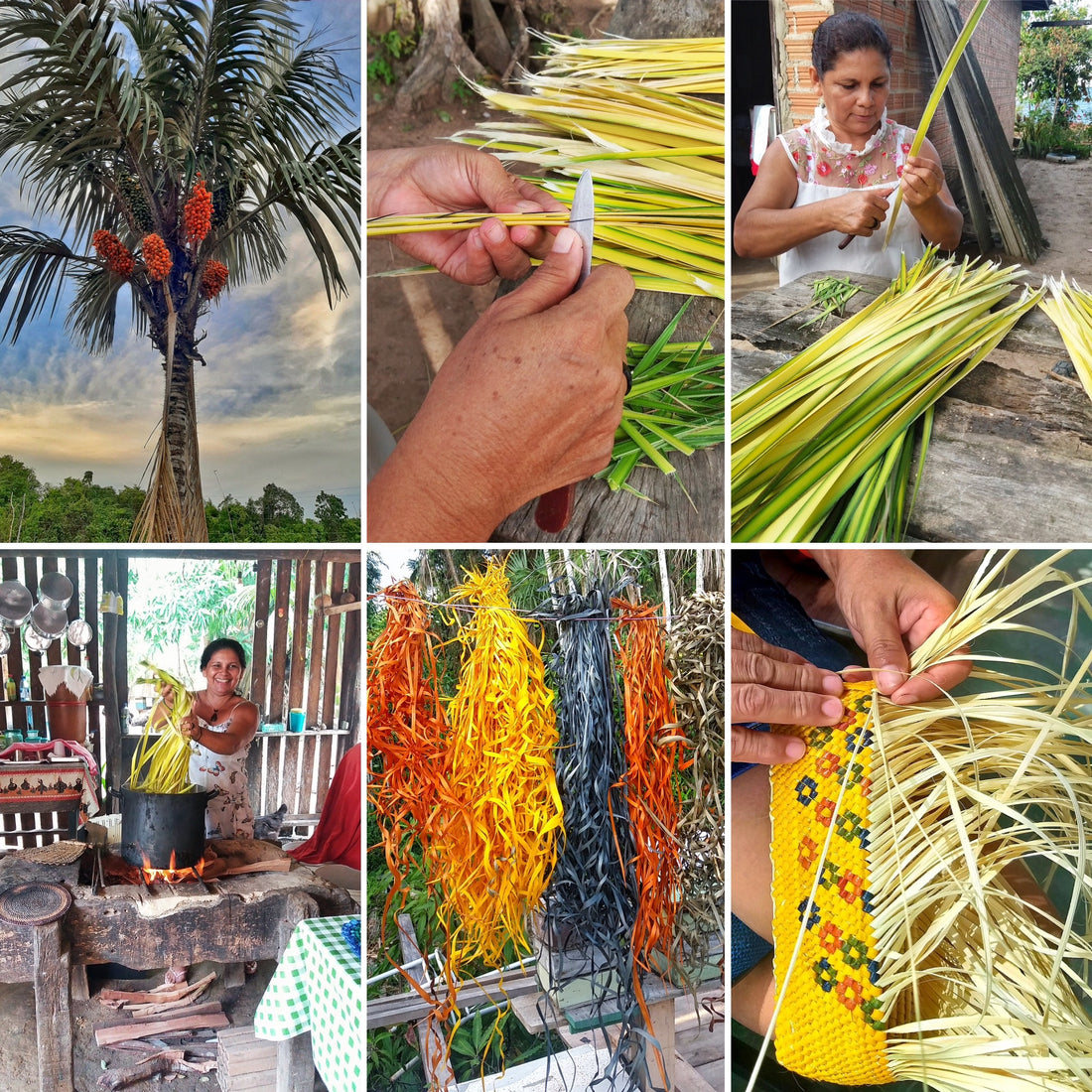 A collage showcasing the traditional fiber craft process: from a palm tree, hands processing fibers, dyeing in vibrant colors, to the final weaving stage.