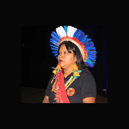 An indigenous Paiter Surui woman in traditional attire, with a colorful headdress and traditional ornaments, looking to the side on a dark backdrop.