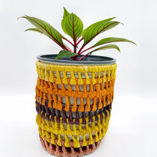 The holder colors are yellow, orange, purple, and brown, filled with a vibrant green plant, demonstrating versatility.