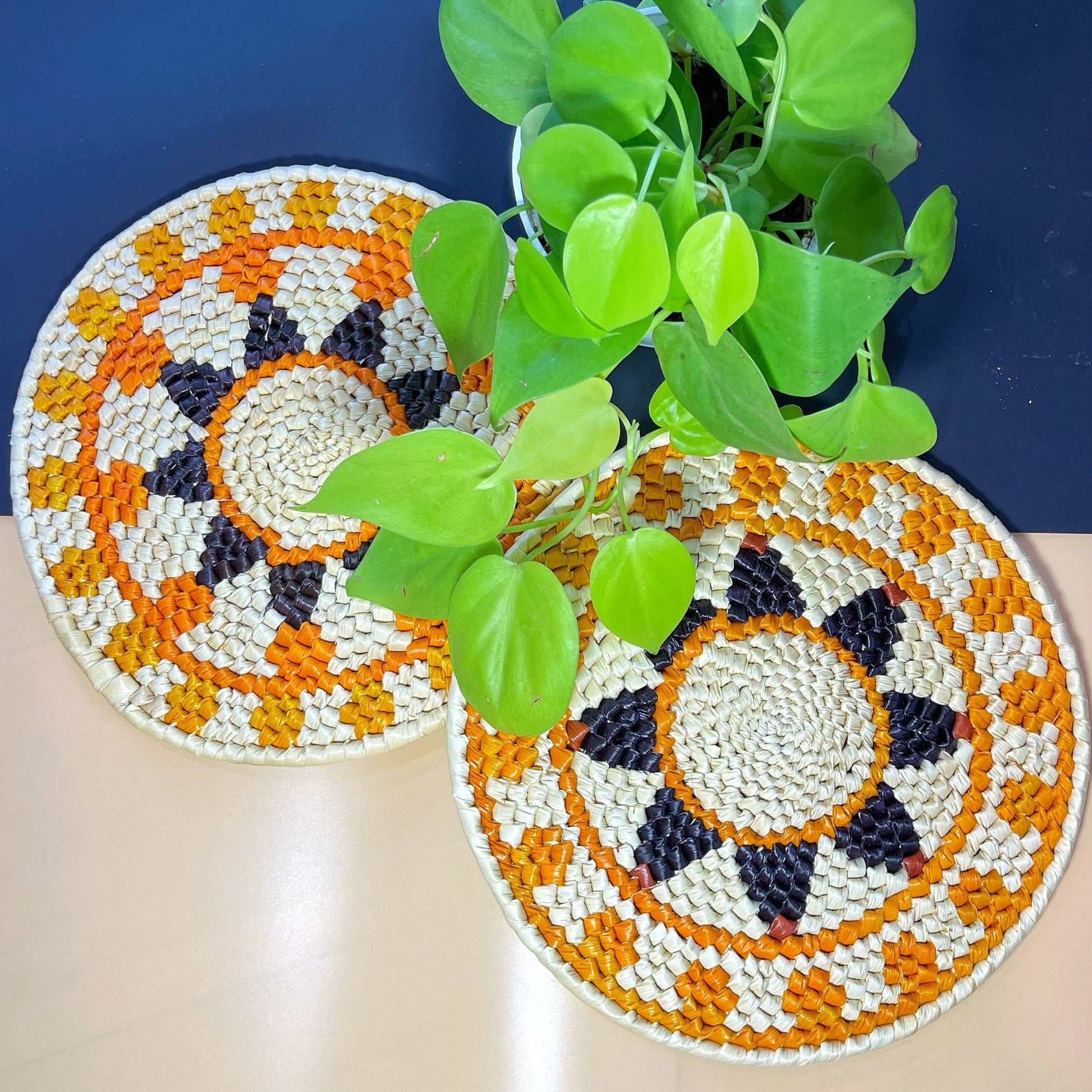 The image features two handwoven trivets with natural beige, dark blue, and orange geometric patterns, with a central plant adding a touch of greenery.