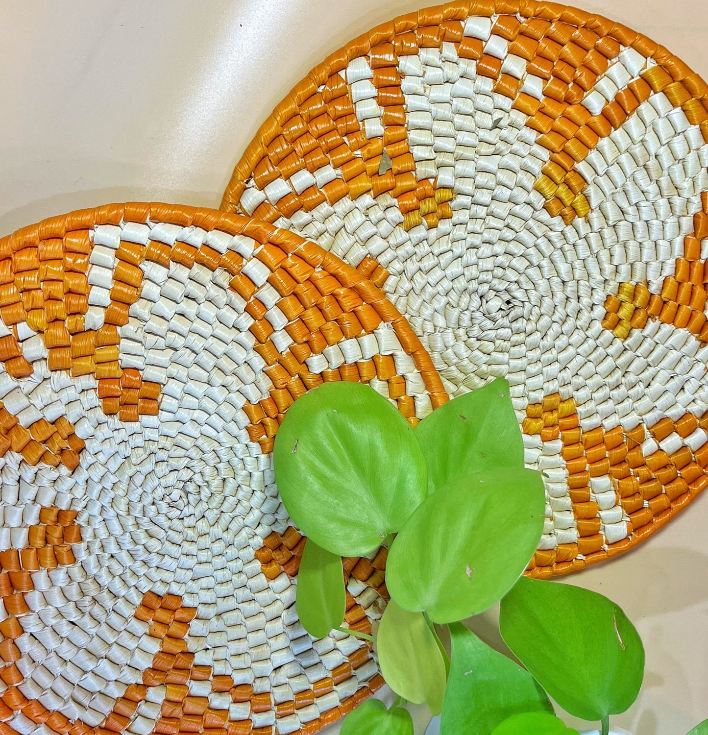 The image features two handwoven trivets with a white base and intricate patterns in shades of orange, adorned with a green plant adding a lively contrast.