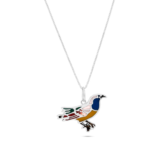 A sterling silver Uirapuru bird necklace with a lively inlay of blue, black, red, green, and yellow hues symbolizing the Amazon. Its melody is said to inspire love and joy.