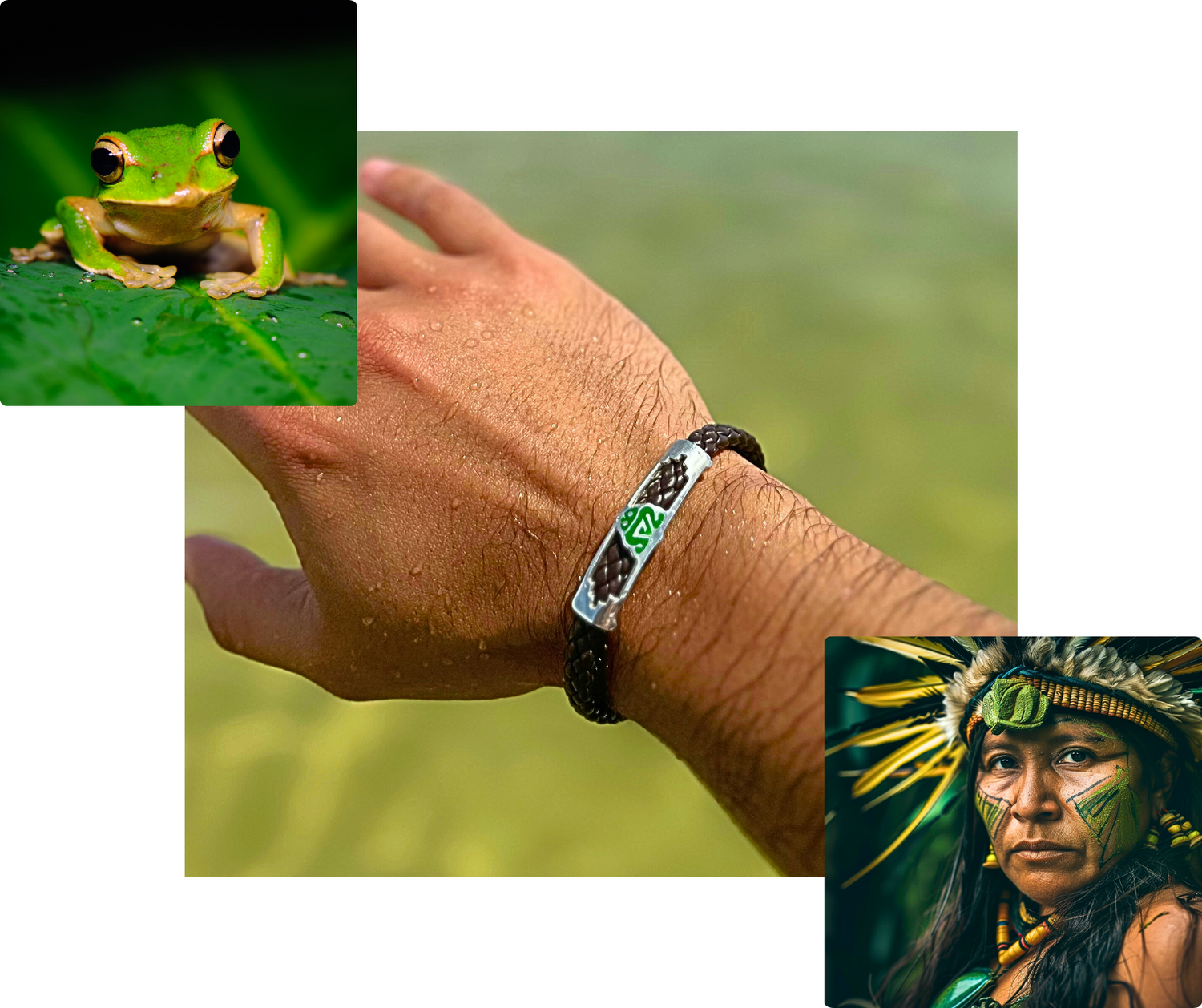 A collage with a green frog on a leaf, a wrist with a cultural bracelet, and an Indigenous person with face paint and feathers, all symbolizing a deep connection to nature.