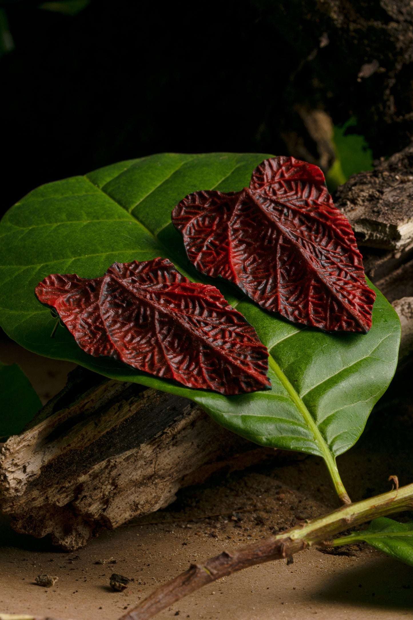 Handcrafted nickel-free earrings. Earring features a teardrop-shaped leaf design in a stunning red and black pattern. Made from natural rubber and açaí seed fiber. Rests on a green leaf. 