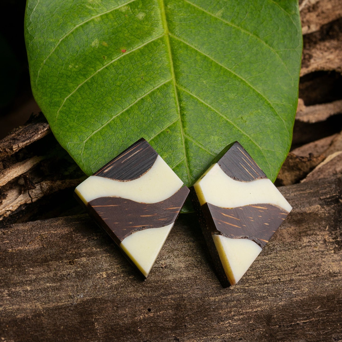 Unique handcrafted earrings, with ivory and dark brown bone inlay designs, set in .925 sterling silver, displayed on a natural backdrop.