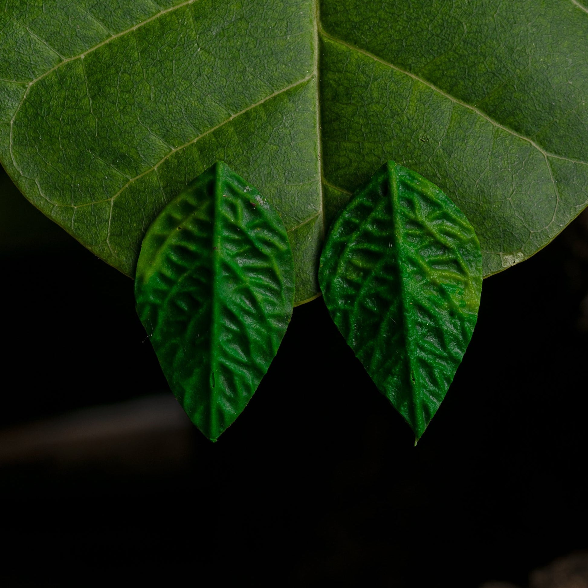 Vivid green leaf-shaped earrings with detailed vein textures dangle elegantly against a matching green leaf, creating a beautiful homage to the natural world.